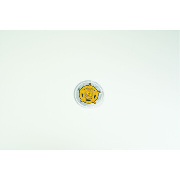CGSO REFLECTOR INTEGRITY